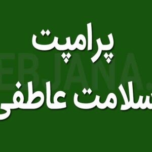 پرامپت طلایی سلامت عاطفی و تنظیم احساسات