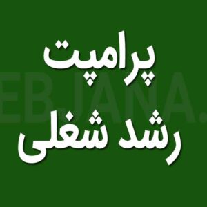 پرامپت طلایی رشد شغلی و بهرهوری حرفهای